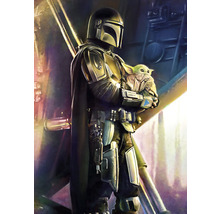 Fototapet vlies IADX4-019 Into Adventure Mandalorian Savior 200x280 cm