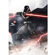 Fototapet vlies IADX4-025 Into Adventure Star Wars Vader Dark Forces 200x280 cm