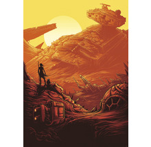 Fototapet vlies IADX4-027 Into Adventure Star Wars Jakku Star Destroye 200x280 cm