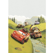 Fototapet vlies IADX4-034 Into Adventure Disney Cars Camping 200x280 cm