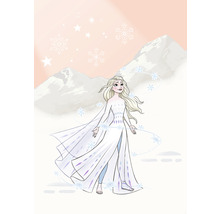 Fototapet vlies IADX4-041 Into Adventure Disney Frozen Winter Magic 200x280 cm