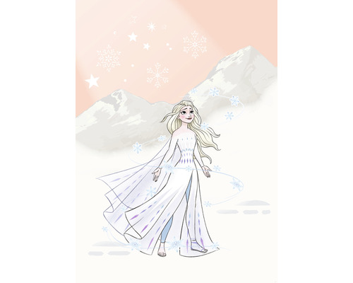 Fototapet vlies IADX4-041 Into Adventure Disney Frozen Winter Magic 200x280 cm Desen cu Elsa din filmul Regatul de gheață, înconjurată de fulgi de zăpadă pe fundalul unui peisaj montan