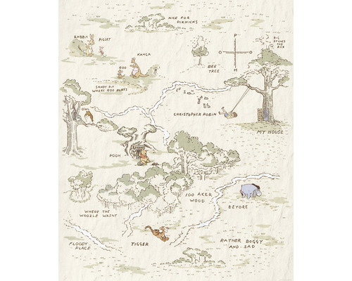 Fototapet vlies IADX4-042 Into Adventure Winnie Pooh Map 200x280 cm