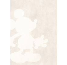 Fototapet vlies IADX4-052 Into Adventure Mickey Contour 200x280 cm