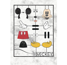 Reprezentare grafică a elementelor individuale ale lui Mickey Mouse