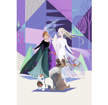 Fototapet vlies IADX4-059 Into Adventure Disney Frozen Abstract Arendelle 200x280 cm