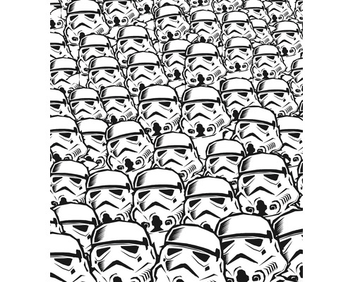 Fototapet vlies IADX5-015 Into Adventure Star Wars Stormtrooper Swarm 250x280 cm