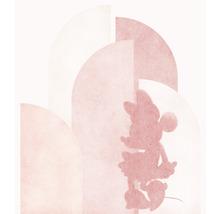 Fototapet vlies IADX5-050 Into Adventure Disney Minnie Creative Aesthetic 250x280 cm
