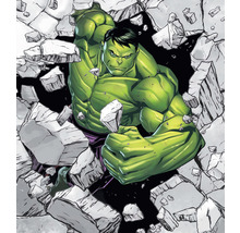 Ilustrație cu supereroul Hulk rupând un zid.