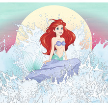Fototapet vlies IADX6-013 Into Adventure Ariel Rise 300x280 cm