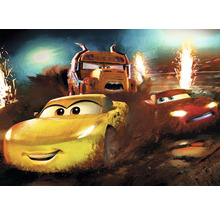 Pictură cu personaje din filmul Cars care participă la un derby de demolare