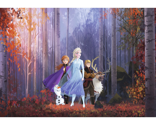 Fototapet vlies IADX8-005 Into Adventure Disney Frozen Autumn Glade 400x280 cm Reprezentare cu Anna, Elsa, Kristoff, renul Sven și omul de zăpadă Olaf într-o pădure.