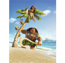 Fototapet vlies XXL2-801 Into Adventure Moana and Maui 184x248 cm