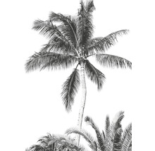 Fototapet vlies IAX4-0011 Into Adventure Retro Palm 200x280 cm