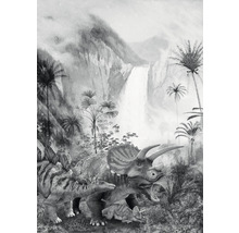 Fototapet vlies IAX4-0020 Into Adventure Jurassic Waterfall 200x280 cm
