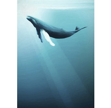 Fototapet vlies IAX4-0045 Into Adventure Artsy Humpback Whale 200x280 cm