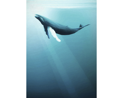 Fototapet vlies IAX4-0045 Into Adventure Artsy Humpback Whale 200x280 cm