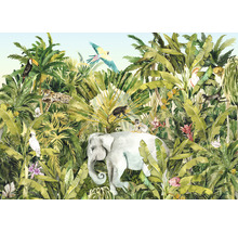 Fototapet vlies IAX8-0002 Into Adventure Jungle Expedition 400x280 cm