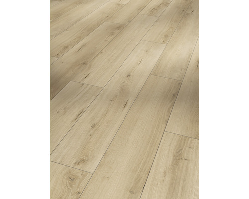 Parchet laminat PARADOR 8 mm stejar Loft pure | HORNBACH