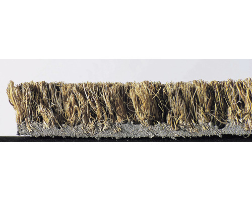 Secțiune transversală a unui covoraș de cocos