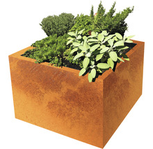 Jardinieră metalică pătrată cu diverse plante