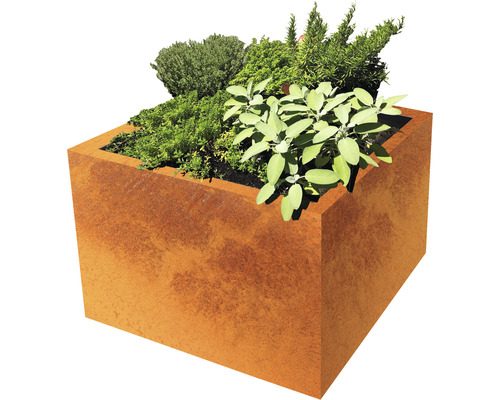 Jardinieră metalică pătrată cu diverse plante