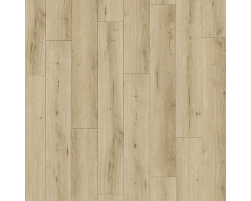 Parchet laminat PARADOR 8 mm stejar Loft pure