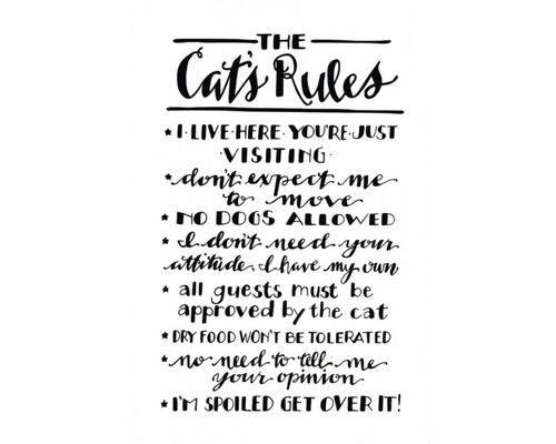 Tablou The Cat's Rules 35x45 cm