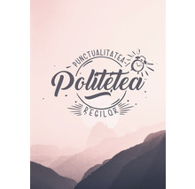 Ilustrație cu textul Punctualitatea este curtoazia regilor deasupra unui peisaj montan