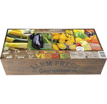 Set de cultivare legume cu dovlecei, vinete, roșii cherry și mix de ardei