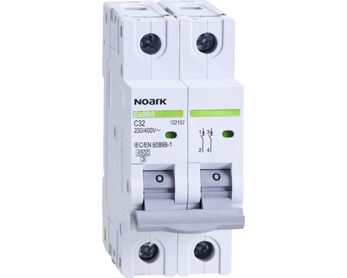 Disjunctor electric modular Noark 2P 25A 4,5kA, curbă C | HORNBACH