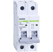 Întrerupător automat Noark Ex9BS C32, cu 2 poli