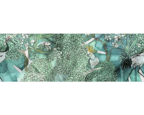 Ilustrație a unei păduri tropicale cu păsări și plante