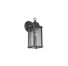 Lumină de perete exterioară neagră cu sticlă transparentă și bec Edison