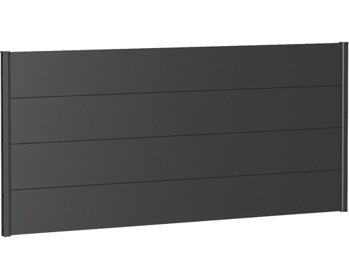 Panou grădină Biohort 200x90 cm gri închis metalizat Gard de confidențialitate din aluminiu