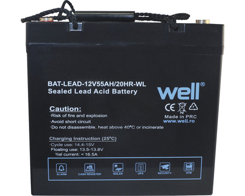 Acumulator Pb-Acid Well 12V 55Ah buc