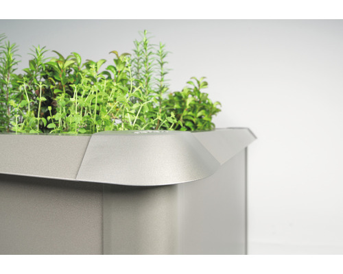 Prim-plan cu o grădină de plante aromatice ridicată, cu diverse ierburi