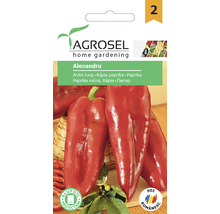 Semințe legume Agrosel ardei lung Alexandru PG2