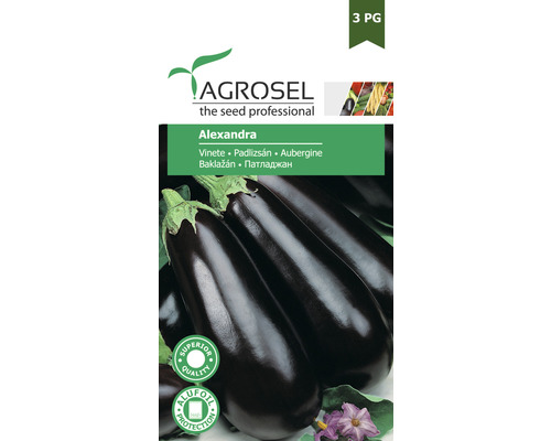 Semințe legume Agrosel vinete Alexandra PG3