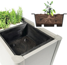 Prim-plan cu o jardinieră cu ierburi aromatice și o inserție pentru plante