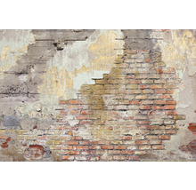 Fototapet vlies Imitations 2 Bricks 400x270 cm