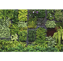 Fototapet vlies Imitations 2 Garden 400x270 cm
