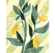 Fototapet vlies LJX4-015 Le Jardin Lemon Fresh 200x250 cm