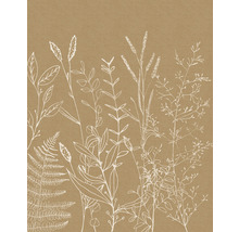 Fototapet vlies LJX4-021 Le Jardin Herbs Garden 200x250 cm