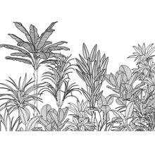 Ilustrație cu diverse plante tropicale