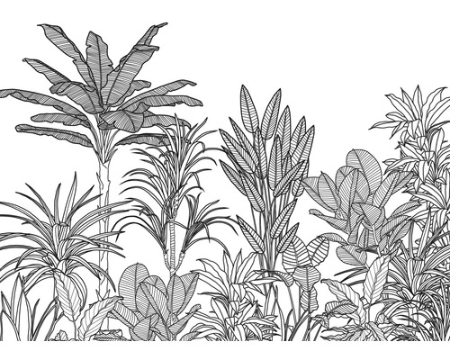 Fototapet vlies LJX7-048 Le Jardin Savanna 350x250 cm