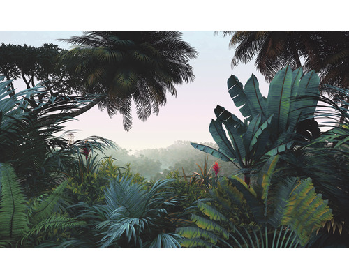 Fototapet vlies LJX8-060 Le Jardin Jungle Morning 400x250 cm