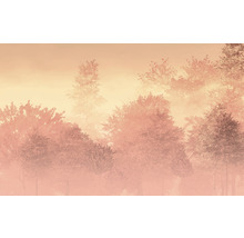 Fototapet vlies LJX8-062 Le Jardin Heartwood 400x250 cm
