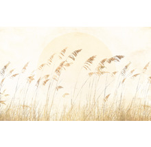 Fototapet vlies LJX8-063 Le Jardin Dune Grass 400x250 cm
