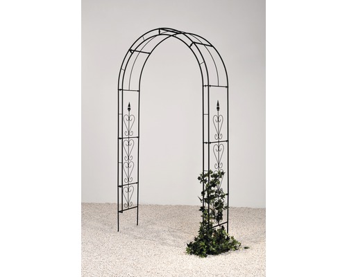 Arc trandafiri Saphira, 38x130x240 cm Arc trandafiri Saphira, 38x130x240 cm